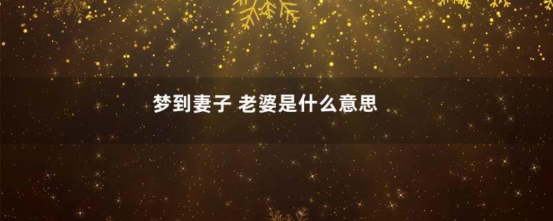 梦到妻子 老婆是什么意思